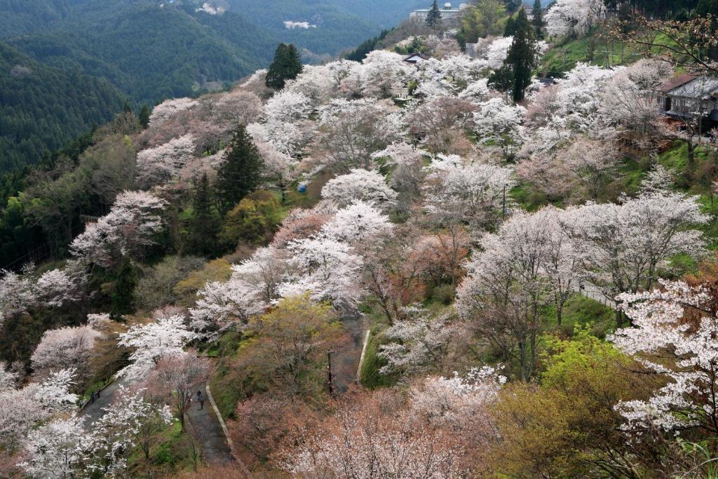 Ryokan Kato Йошино Екстериор снимка