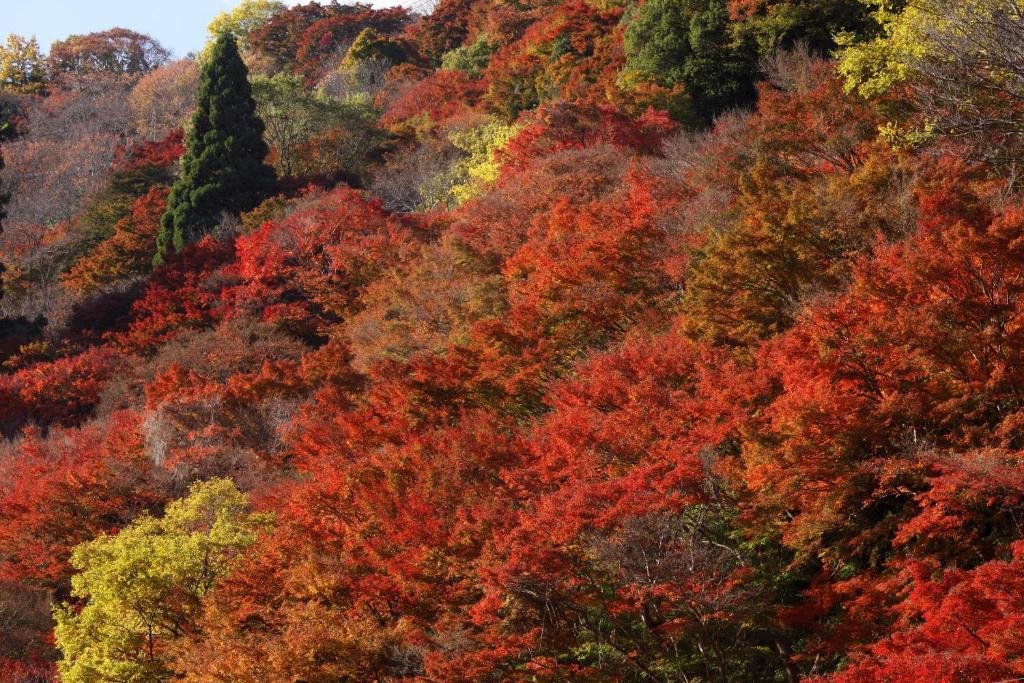 Ryokan Kato Йошино Екстериор снимка