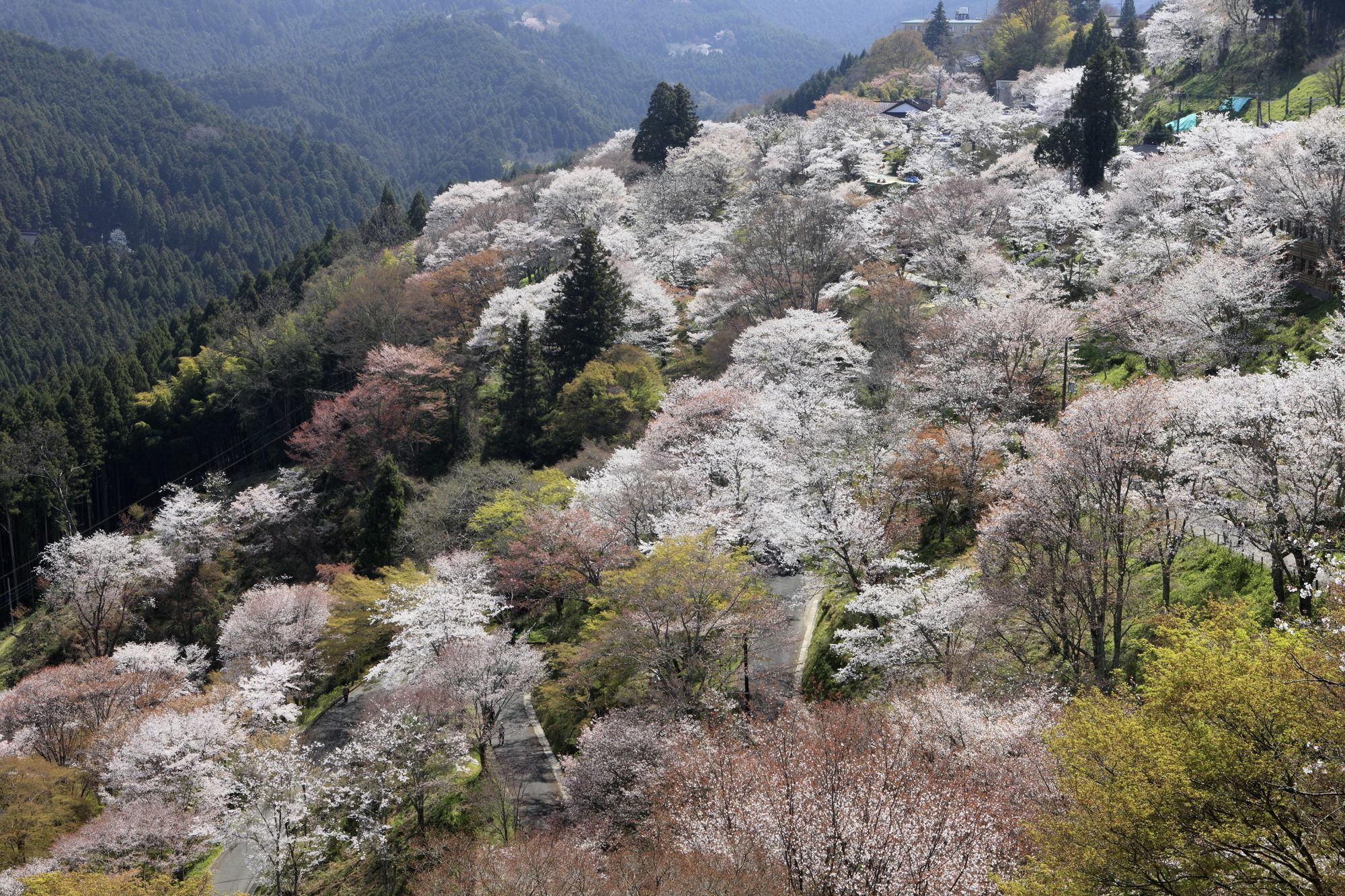 Ryokan Kato Йошино Екстериор снимка